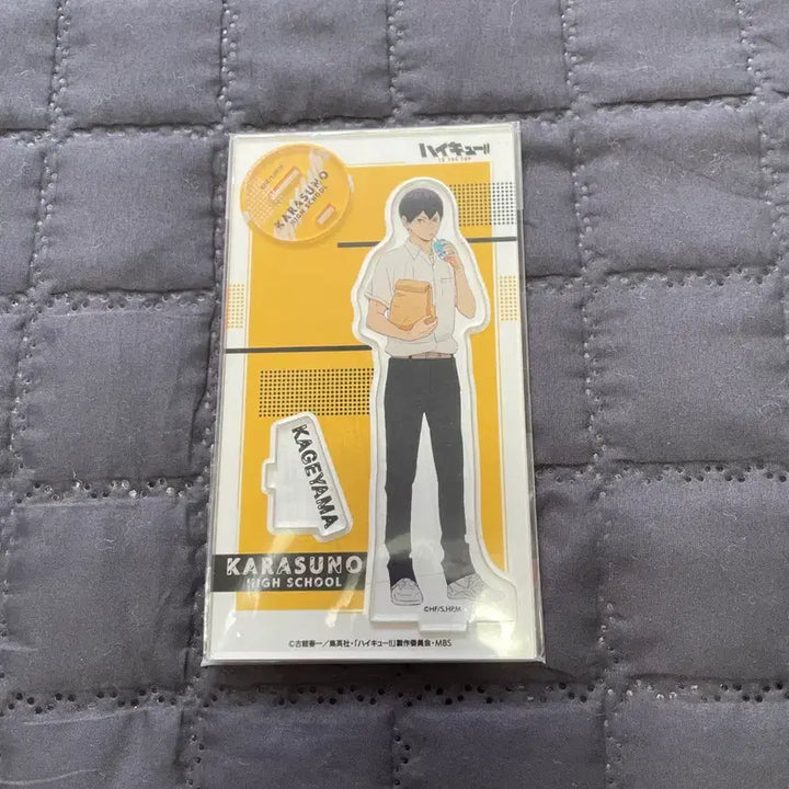 [BUNJANG] Kageyama Acrylic Stand / 카게야마 아크릴