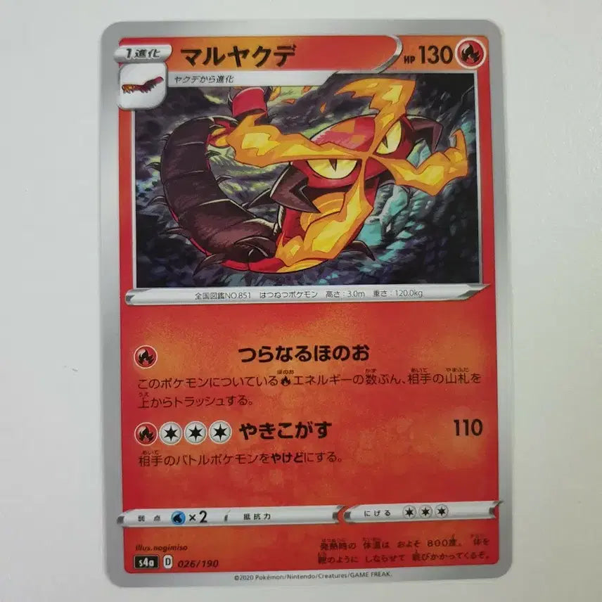 [BUNJANG] Japanese Pokemon Card Maruyakude (HP 130) / 일판/다태우지네 포켓몬카드