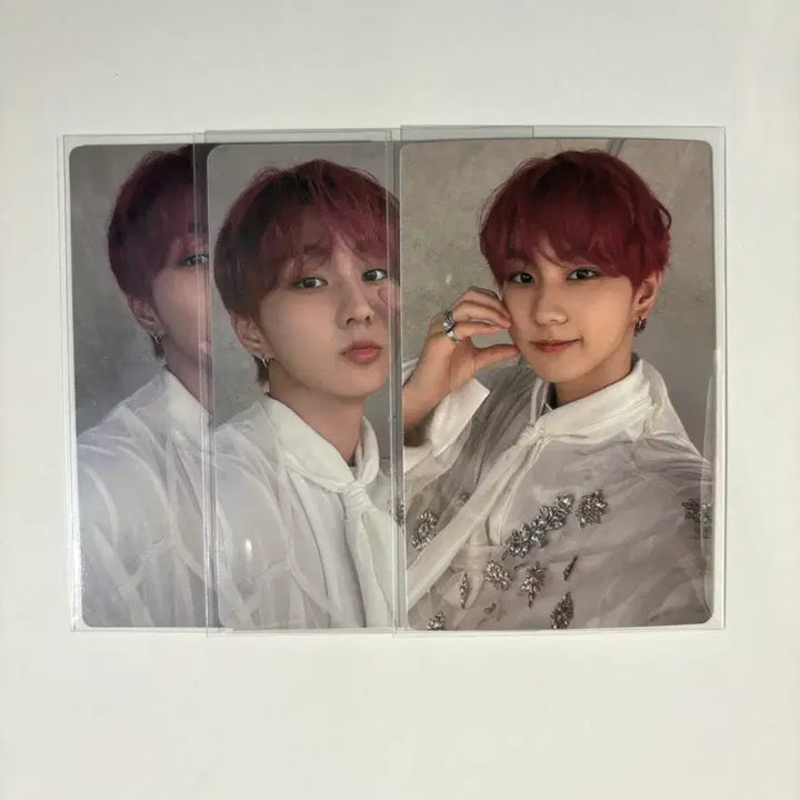 [BUNJANG] ENHYPEN Jungwon Sadame Bundle Set Photocard / 엔하이픈 정원 사다메 sadame 3장 일괄
