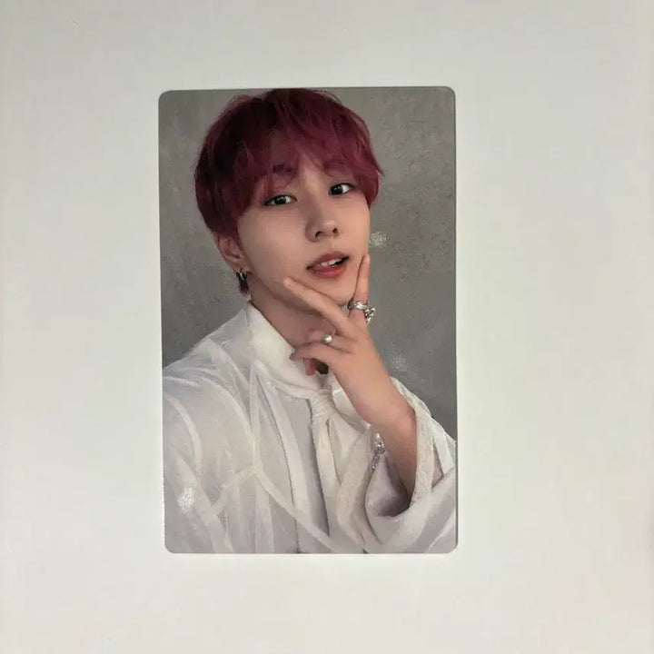[BUNJANG] ENHYPEN Jungwon Sadame Bundle Set Photocard / 엔하이픈 정원 사다메 sadame 3장 일괄