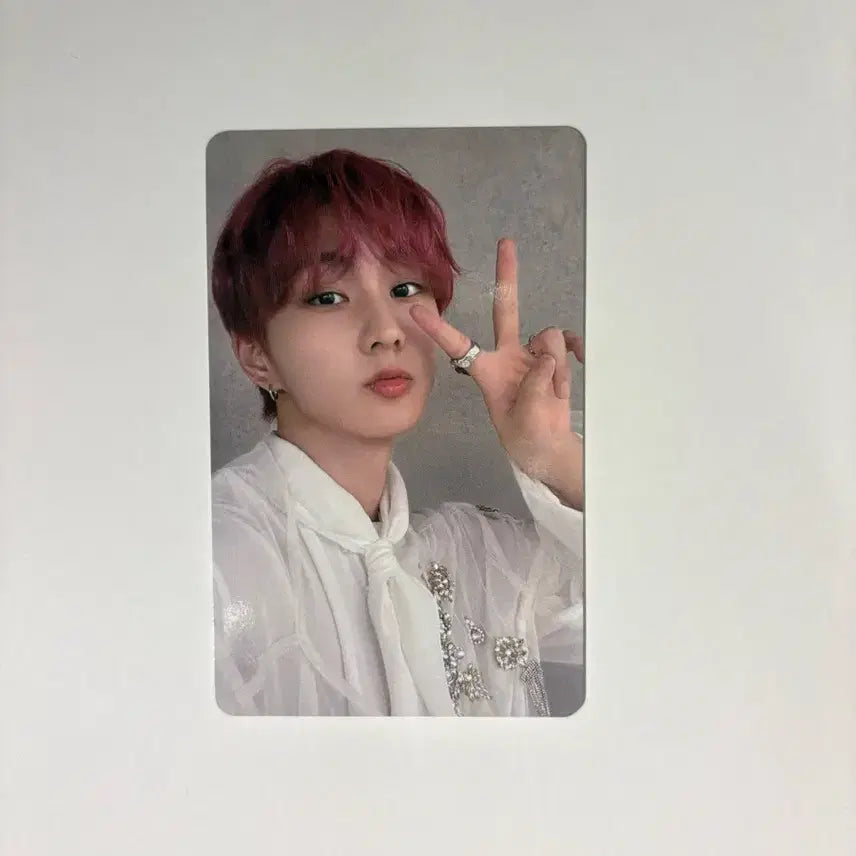 [BUNJANG] ENHYPEN Jungwon Sadame Bundle Set Photocard / 엔하이픈 정원 사다메 sadame 3장 일괄