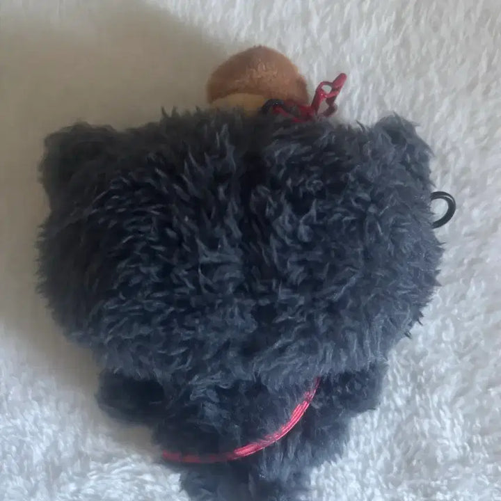 [BUNJANG] Wishdoll NCT Wish Doll Riku Kuri 1st Gen / 위시돌 엔시티 위시 인형 초판 리쿠 쿠리 1세대
