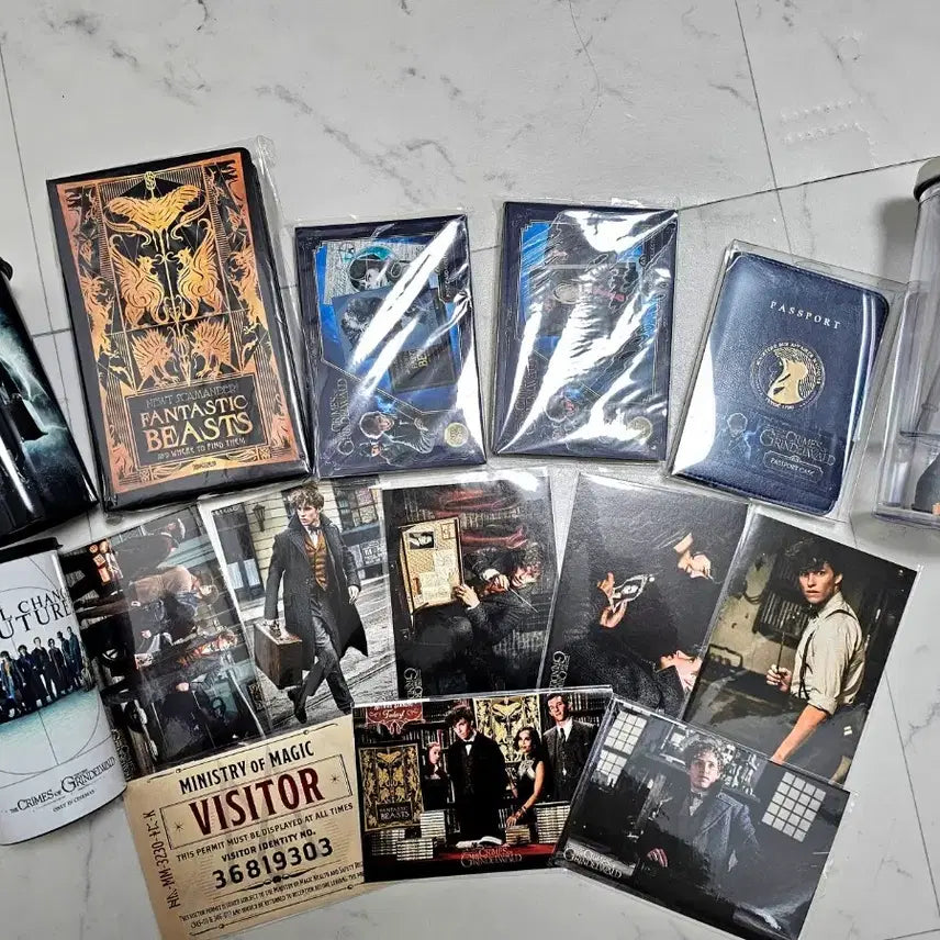 [BUNJANG] Fantastic Beasts Movie Merchandise Collection / 신비한 동물사전 신동사 영화 굿즈 소장품 수집품