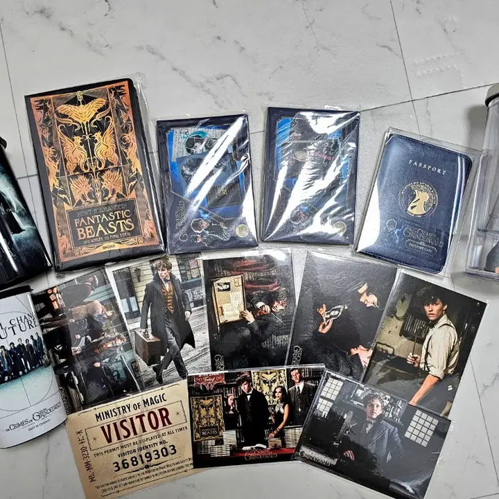 [BUNJANG] Fantastic Beasts Movie Merchandise Collection / 신비한 동물사전 신동사 영화 굿즈 소장품 수집품