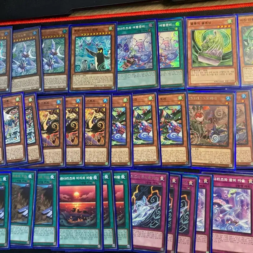 [BUNJANG] Yu-Gi-Oh! Fur Hire Deck / 유희왕 후완다리즈 덱 팝니다(범용 카드,패트랩o)