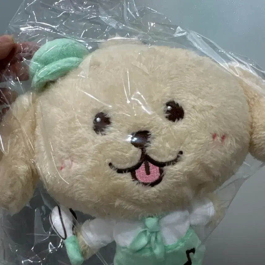 [BUNJANG] NCT WISH Jaehee Bakery Popup Photocard Holder / 미개봉 엔시티 위시 베이커리 팝업 파티시에 위시돌 재희 댕트리버 wish