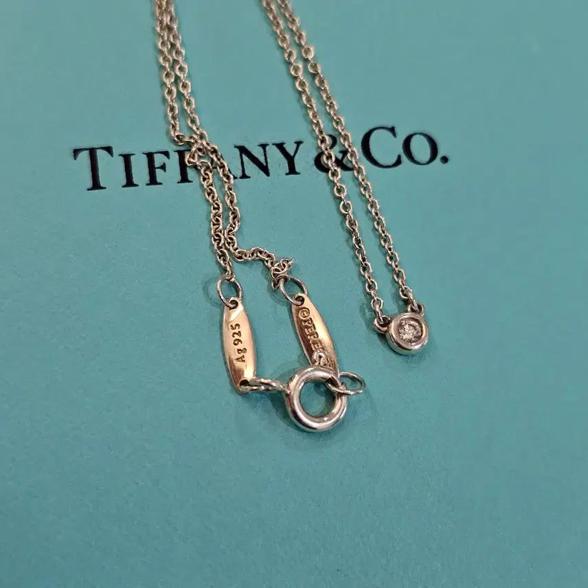 [SOLD OUT] 티파니앤코 바이더야드 목걸이