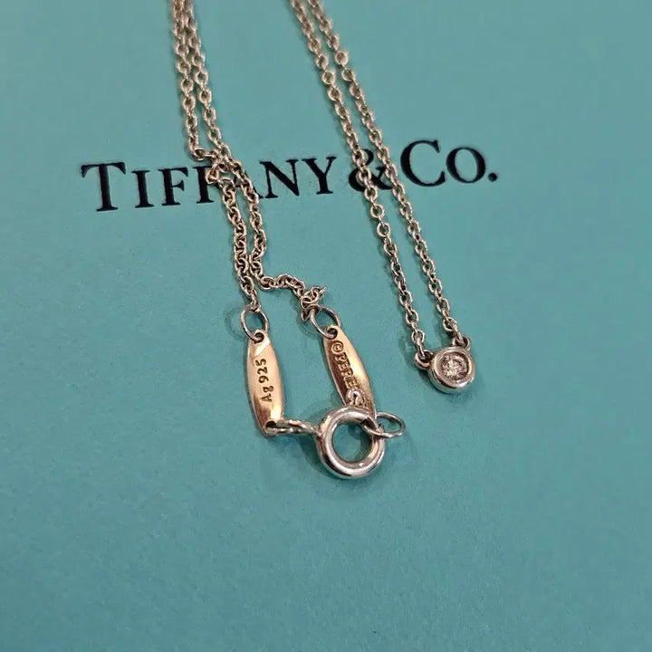 [SOLD OUT] 티파니앤코 바이더야드 목걸이