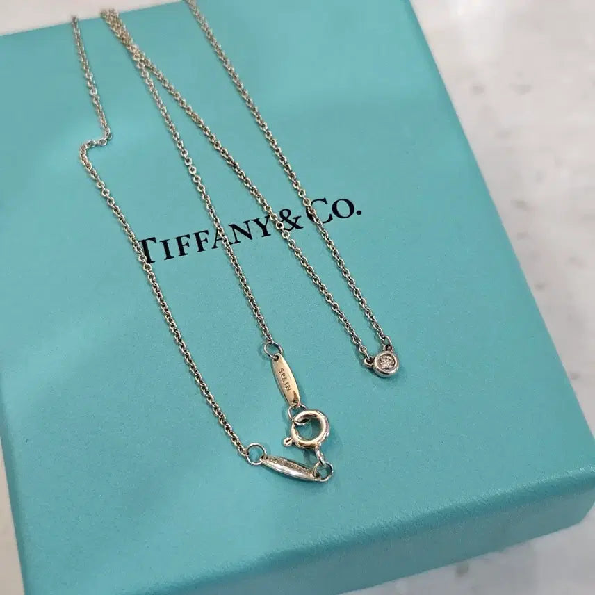 [SOLD OUT] 티파니앤코 바이더야드 목걸이