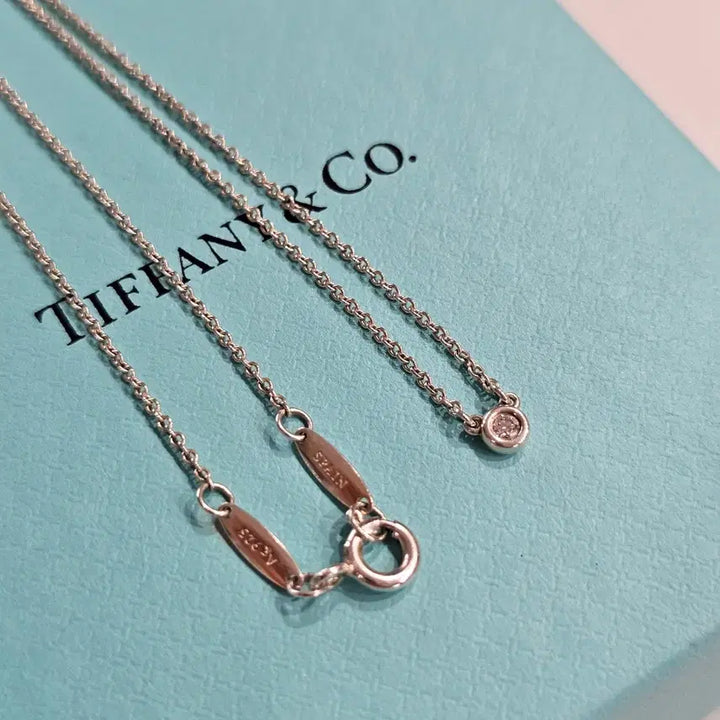 [SOLD OUT] 티파니앤코 바이더야드 목걸이