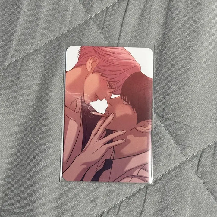 [BUNJANG] Tim Rejin Lucky Draw Transparent Photocard / 팀레진 8만원 10만원 특전 조개소년 일반 포카 투명 양도 판매