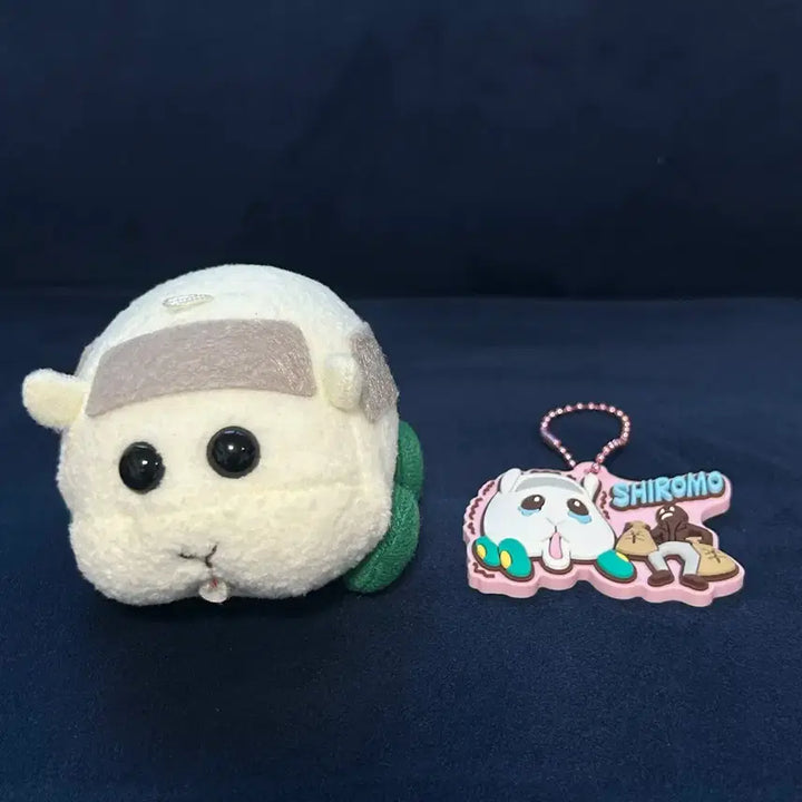 [BUNJANG] Morucca Shiromo MochiKororing Plush Doll + Keychain Set / 뿌이뿌이 모루카 시로모 모찌코로링 인형+키링