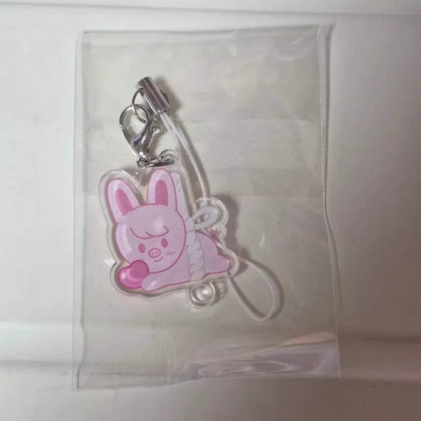 [BUNJANG] Stray Kids Fanmeeting Dwaekki Keyring / 스키즈 팬미팅 돼끼 키링