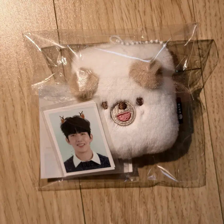 [BUNJANG] DAY6 PetitMerz ID Photo Holder / 데이식스 쁘띠멀즈 증사 홀더 돈 양도