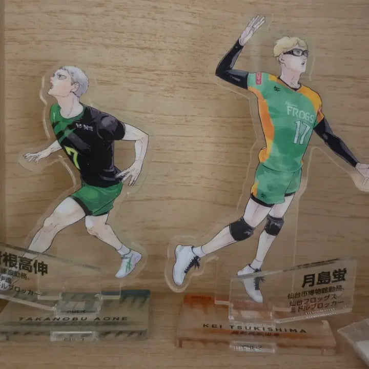 [BUNJANG] Haikyuu!! Chronicle Acrylic Standees - Atsumu, Osamu, Tsukishima, Kita - Bundle Set / 하이큐 크로니클 아크릴 아츠무 오사무 츠키시마 타카노부 일괄