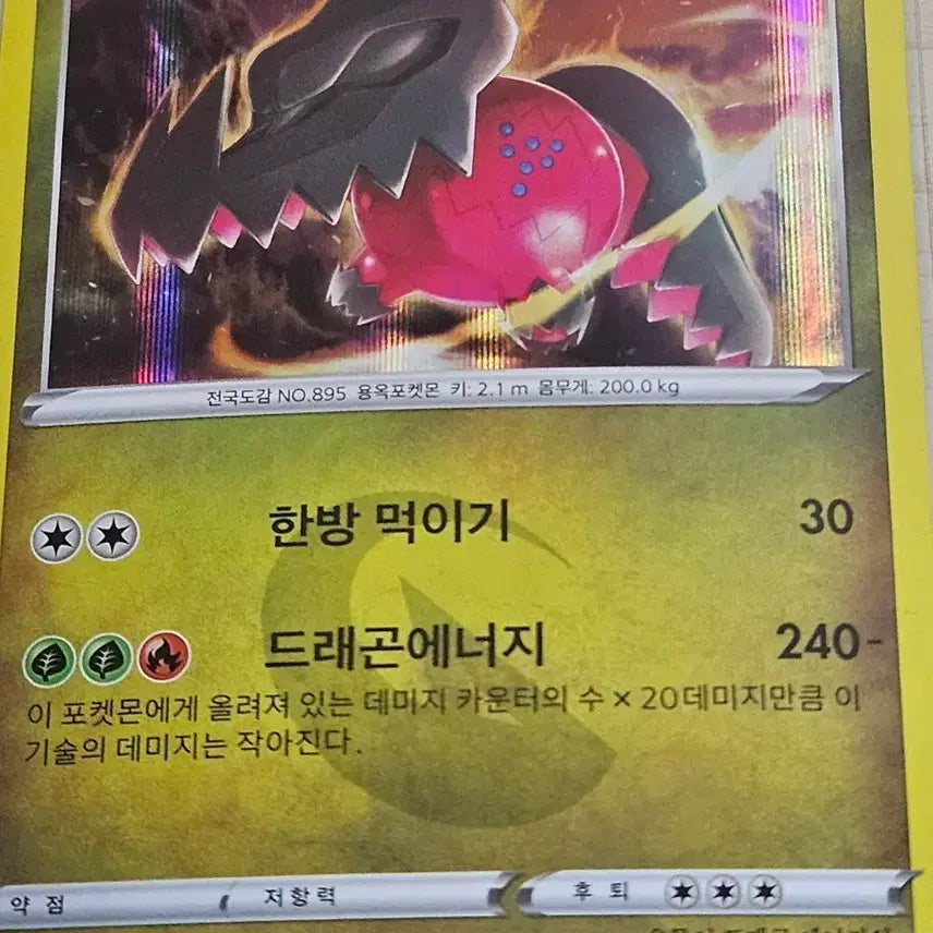 [SOLD OUT] 포켓몬카드 레지드래고