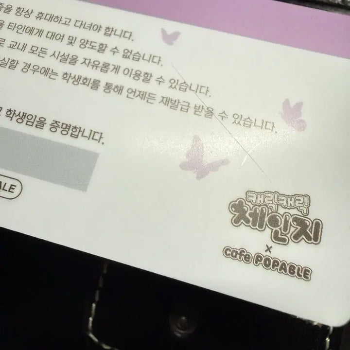 [BUNJANG] Chobits Chii Student ID Card / 캐릭캐릭 체인지 팝퍼블 세라 학생증 콜카