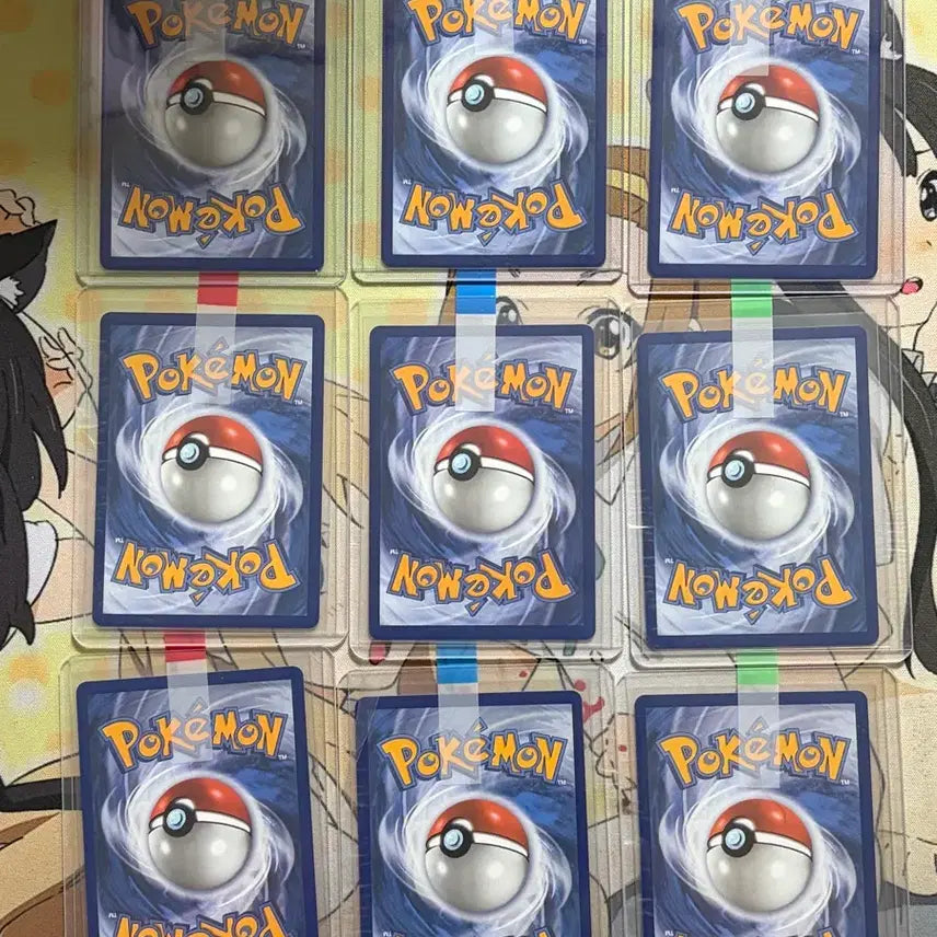 [BUNJANG] Pokémon First Partner Set 2 / 퍼스트 파트너 전종 2번세트