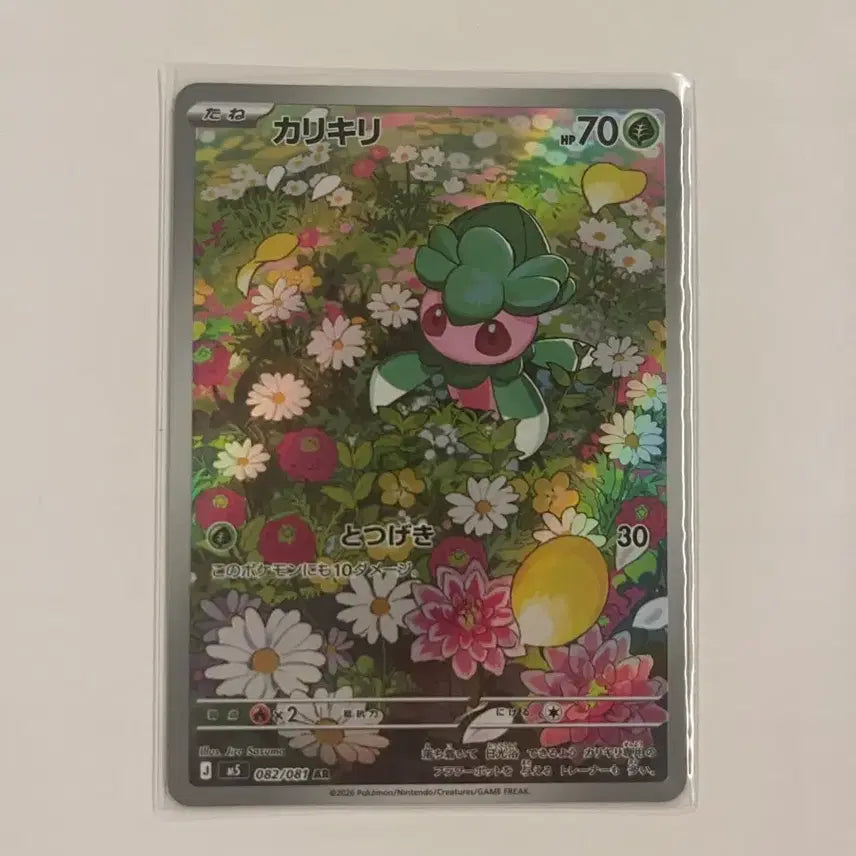 [BUNJANG] Pokemon Card Zeraora AR (Japanese) / 포켓몬카드 짜랑랑 AR (일판)