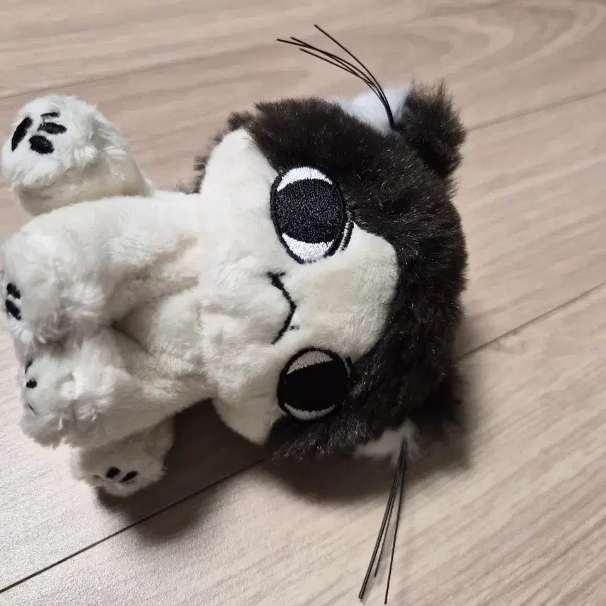 [BUNJANG] Seventeen Jun Doll / 세븐틴 준 인형