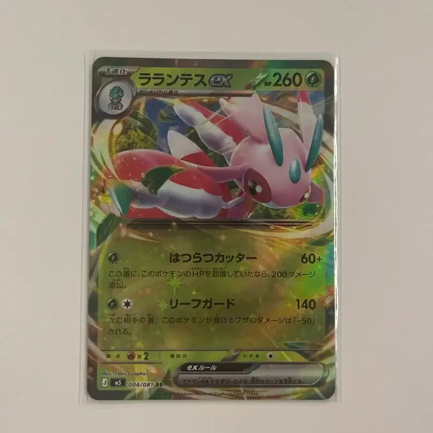 [BUNJANG] Pokemon Card Latinatis RR / 포켓몬카드 라틴티스 RR