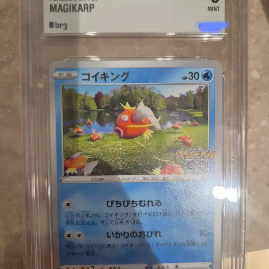 [BUNJANG] Pokemon Magikarp Japanese Graded Card (BRG 9) / 포켓몬 잉어킹 일판 brg9 등급카드