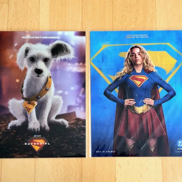 [BUNJANG] Supergirl Art Card / 슈퍼걸 아트카드 아카 굿즈
