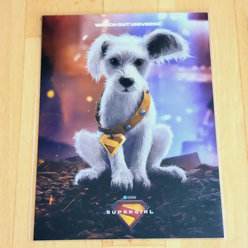 [BUNJANG] Supergirl Art Card / 슈퍼걸 아트카드 아카 굿즈