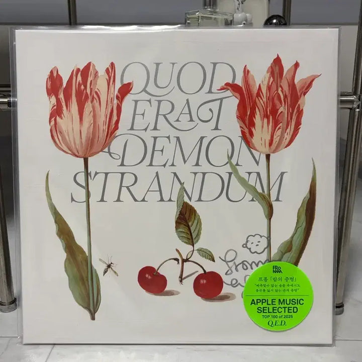[BUNJANG] From Q.E.D. Signed LP (Sealed) / [미개봉] 프롬 Q.E.D LP 사인반