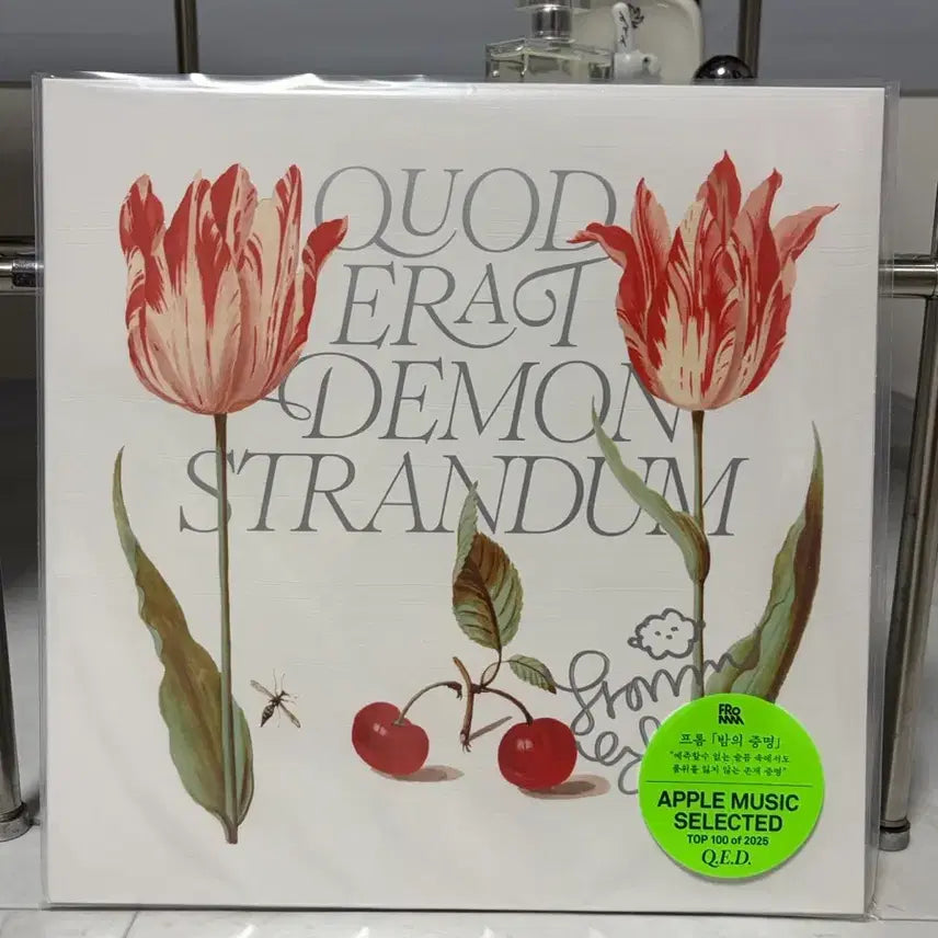 [BUNJANG] From Q.E.D. Signed LP (Sealed) / [미개봉] 프롬 Q.E.D LP 사인반