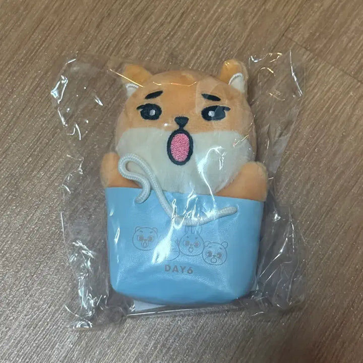 [BUNJANG] DAY6 The DECADE Japan Charm Keychain Young K / DAY6  <The DECADE> 일본 백참 / 데니멀즈 케 영케이