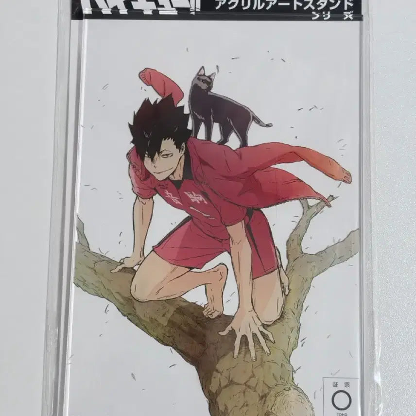 [BUNJANG] Haikyuu!! Kuroo Tetsurou Barefoot Acrylic Stand / [미개봉] 하이큐 맨발 아크릴 스탠드 쿠로오 테츠로