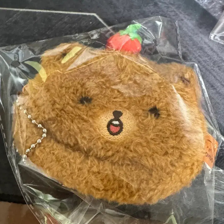 [BUNJANG] NCT DREAM Haechan Bear Wallet + POB / 곰동지갑 + 특전 엔시티드림 해찬 이곰도