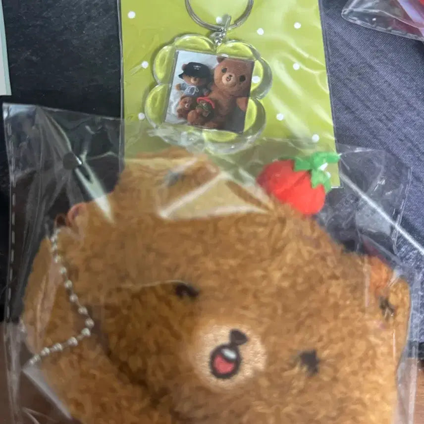 [BUNJANG] NCT DREAM Haechan Bear Wallet + POB / 곰동지갑 + 특전 엔시티드림 해찬 이곰도