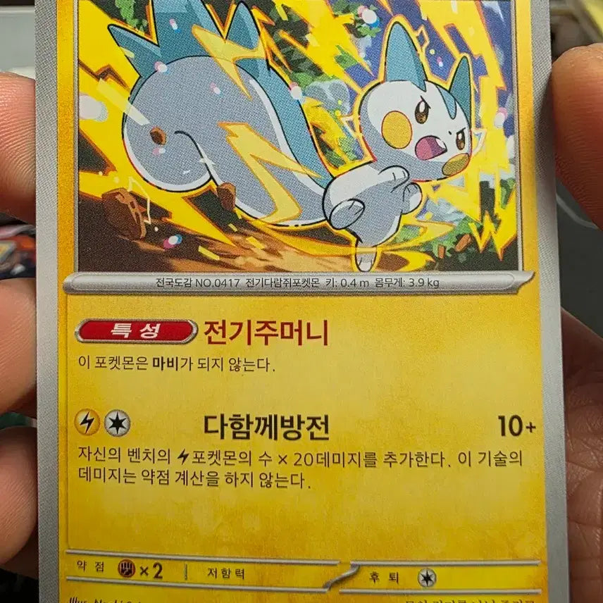 [BUNJANG] Pokemon Card Pachirisu Basic Rare / 포켓몬 카드 파치리스 기본