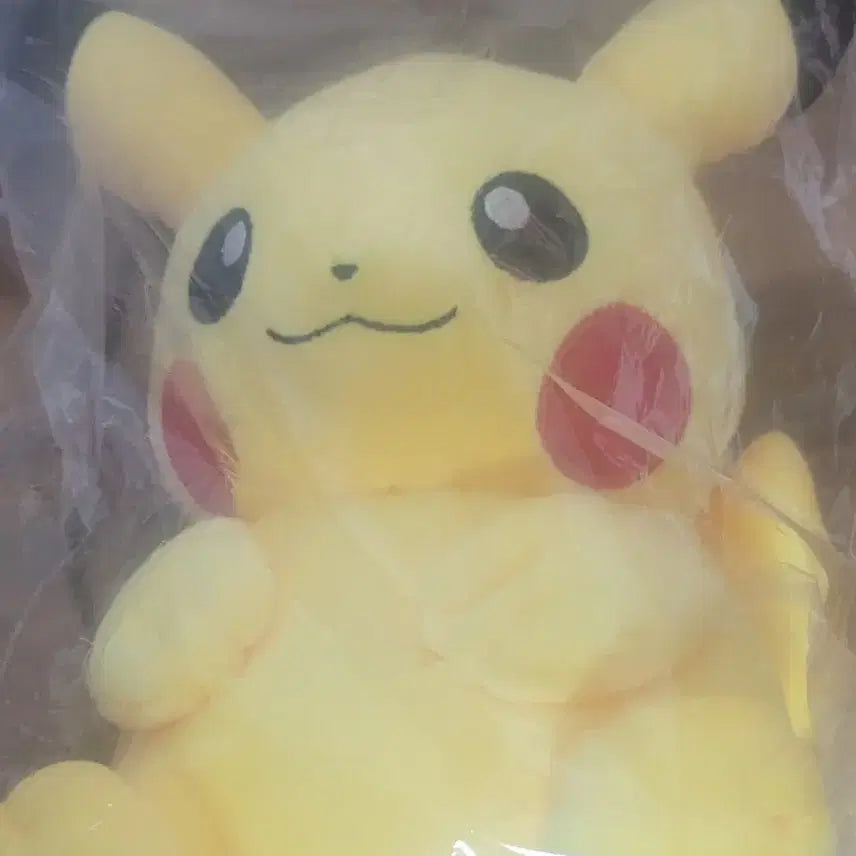[BUNJANG] Pokemon Pikachu Plush Doll (Sealed) / 포켓몬스터 피카츄 인형 미개봉 판매합니다