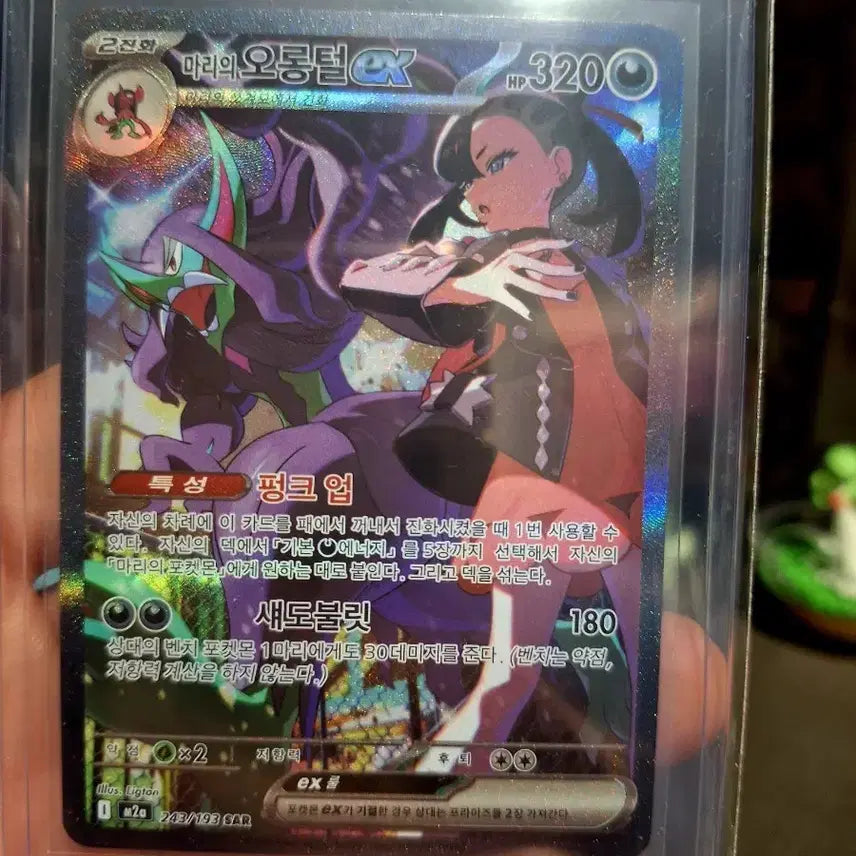 [BUNJANG] Pokemon Card Mari&