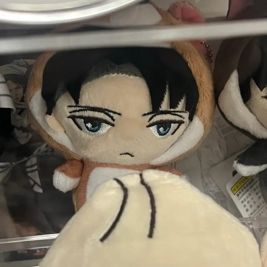 [BUNJANG] Attack on Titan Levi Lip-Mung Plush Doll / 진격거 리바이 립뭉이 누이 판매