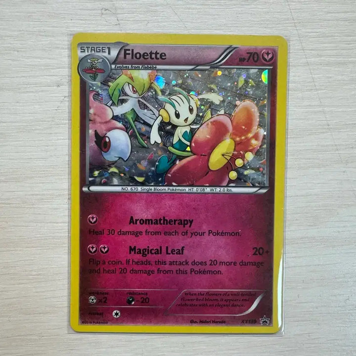[BUNJANG] Pokemon Card XY Promo Floette XY139 Promo Holo English North American Version / 포켓몬카드 XY 프로모 플로엣테 XY139 프로모 홀로카드 영문판 북미판