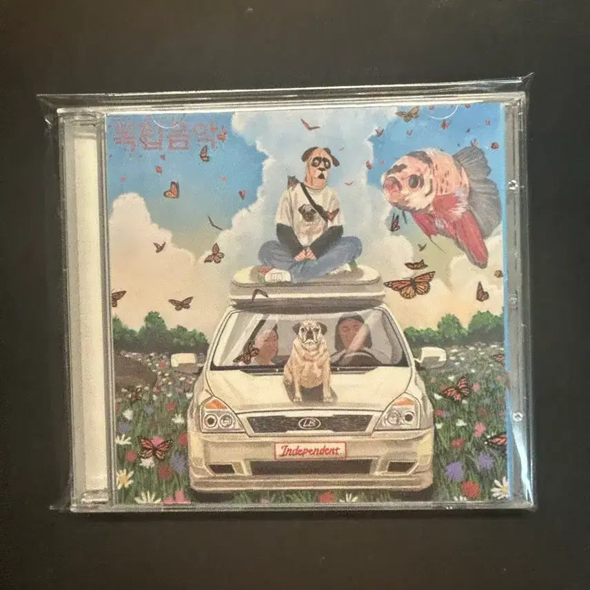 [BUNJANG] Choi Elbi Independent Music CD / 최엘비 독립음악 cd 팝니다.