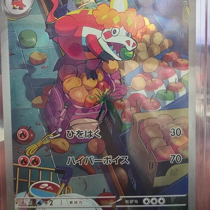 [BUNJANG] Pokémon Card Akugger 079/073 AR Japanese / 악뜨거 079/073 AR 포켓몬 카드 일판