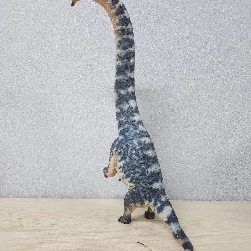 [BUNJANG] Haolonggood Sauroposeidon Model Kit / 하오롱굿 사우로포세이돈 haolonggood sauroposeidon