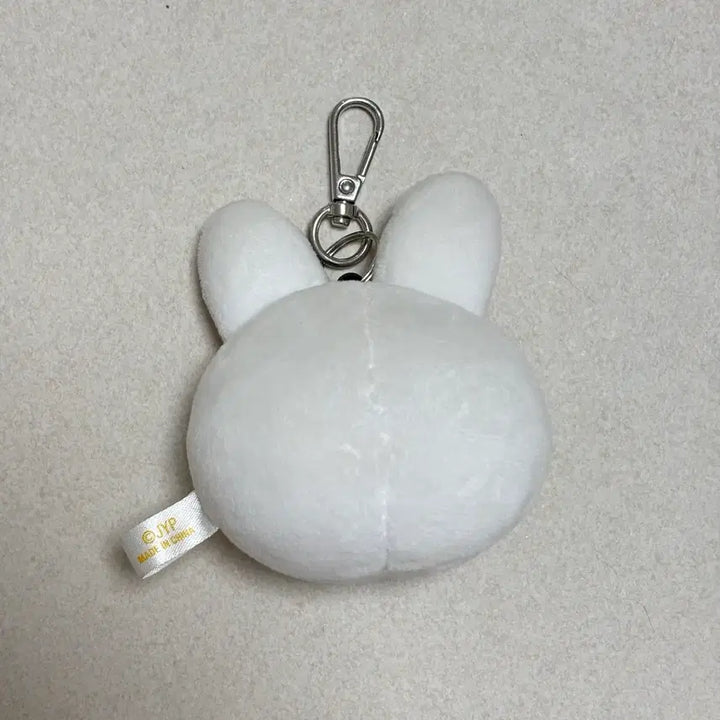 [BUNJANG] SKIZOO Ribbit Face Keyring / 스키주 리빗 페이스 키링