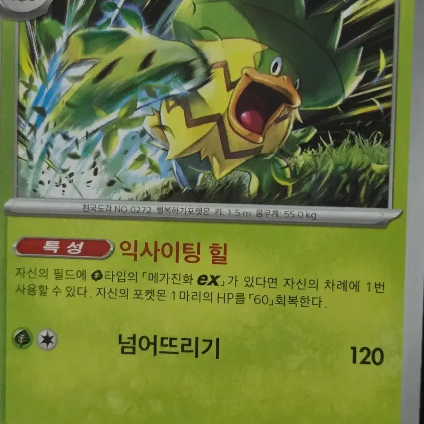 [BUNJANG] Pokemon Card Lopunny / 포켓몬카드 로파파