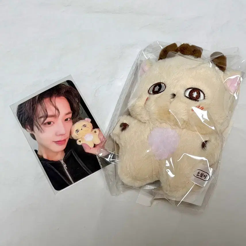 [SOLD OUT] 박지훈 소심이 인형 양도
