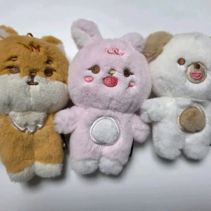 [BUNJANG] Day6 Petit Merz Keppildon Bundle Set / 데이식스 쁘띠멀즈 케필돈 일괄 판매