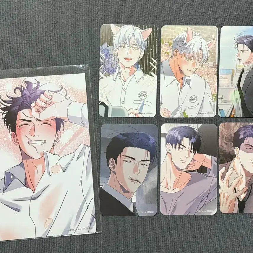 [BUNJANG] IRISAMURINYOU (ISAYOU) Mofun Bangpo Postcard Set / 이리사랑스러운너 이사너 모펀 방포 엽서