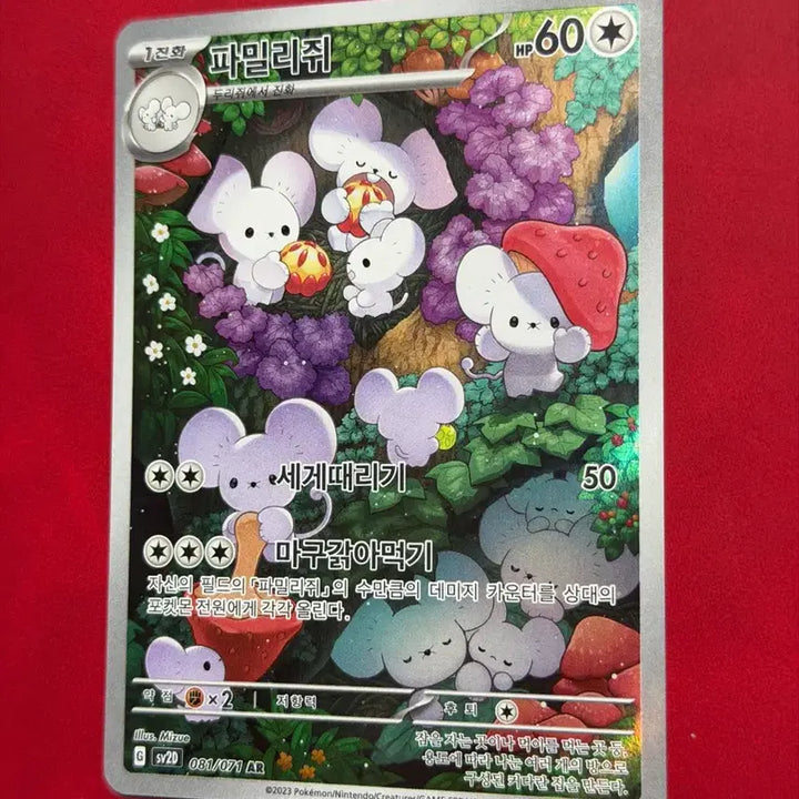 [BUNJANG] Pokemon Card Famiriji AR / 귀여운 포켓몬 카드 파밀리쥐 AR