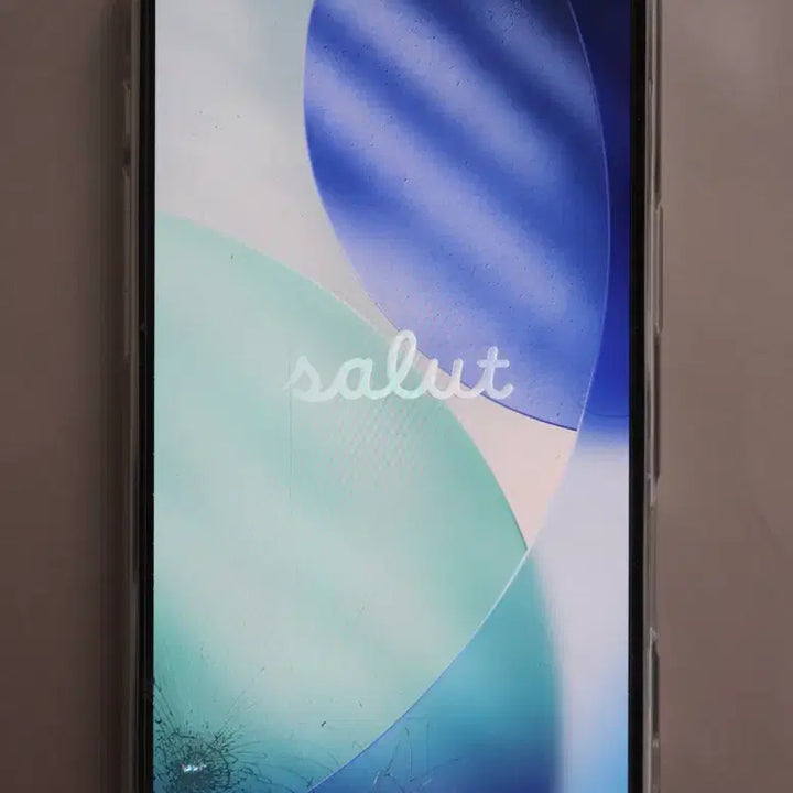 [BUNJANG] Apple iPhone 16 256GB (Excellent Battery Health) / 아이폰16 256기가 배터리 성능 100% 액정 파손