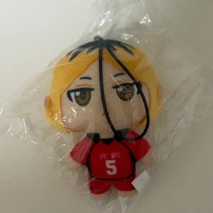 [BUNJANG] Haikyuu!! Kenma Kozume Plush Doll / 하이큐 켄마 누이구루미 누이 봉제인형